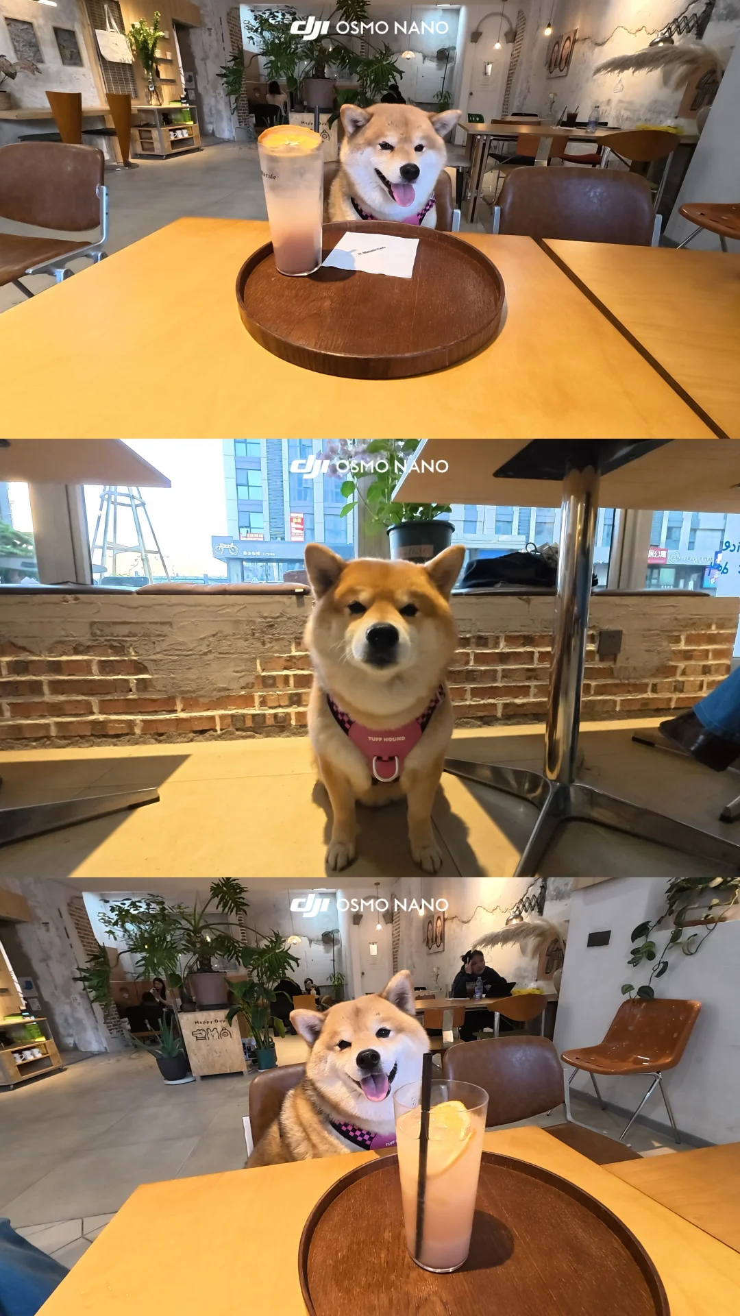 当朋友问我买大疆nano干什么