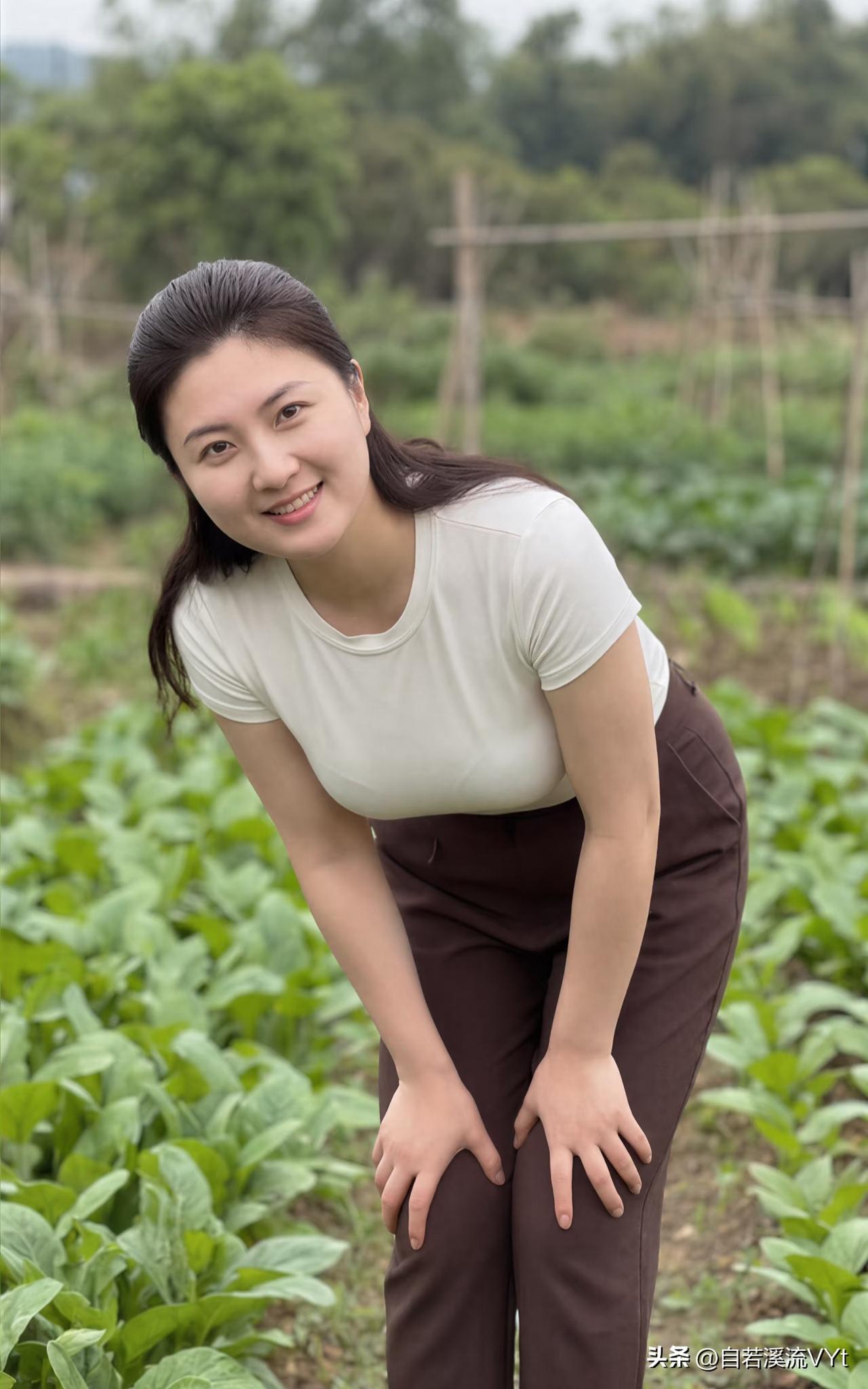 定风波·田园玉影
 
满目青芜绕菜畦，柔风拂叶自生姿。
俯面嫣然眉眼软，温婉，素