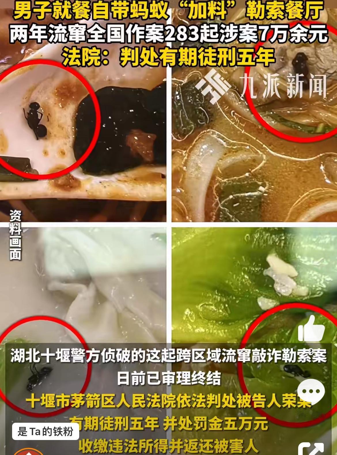 是个人才，男子流窜全国用菜里有蚂蚁敲诈饭馆，疯狂行骗280多起。虽然得手了7万多