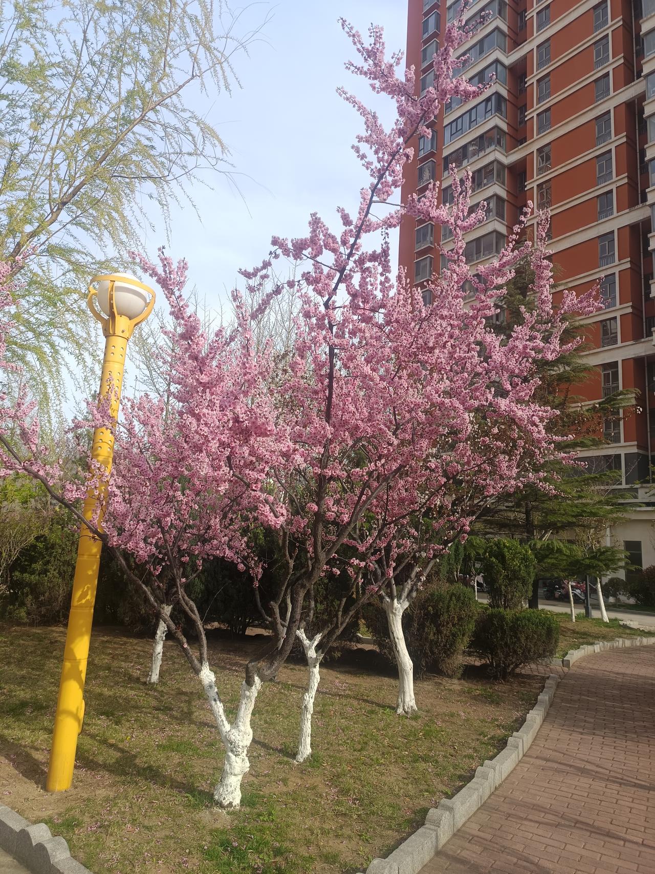 说的太好了[赞]
情绪对人太重要了。中医认为人有七情——喜怒忧思悲恐惊。都或多或