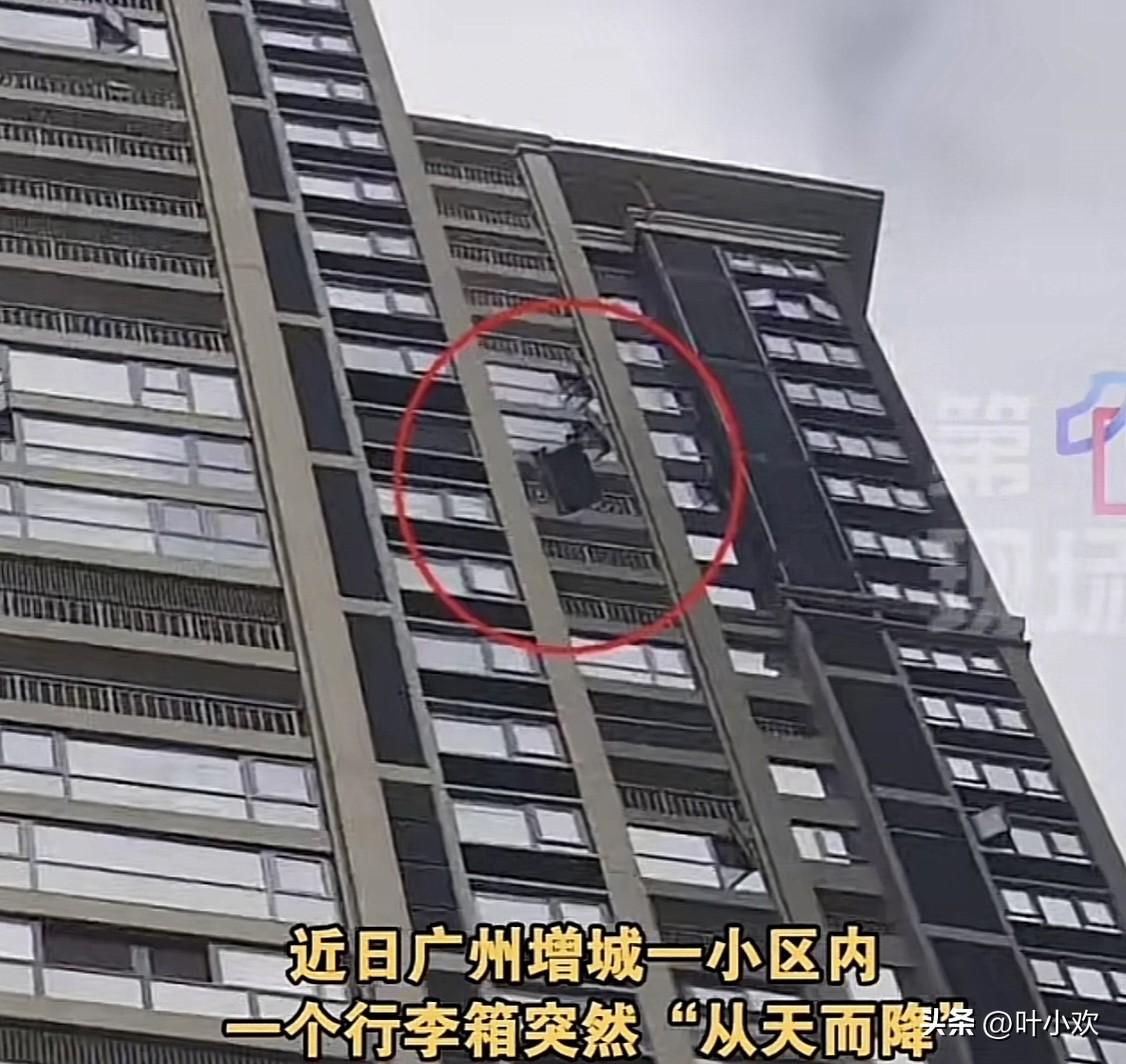 这刑拘真是一点也不冤。近日，广州增城一女子和家人吵架，情绪激动之下把一个20寸的