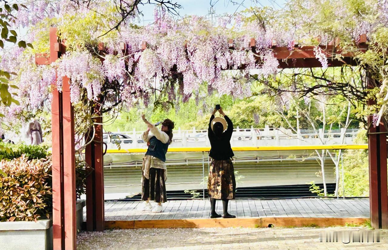 春日限定氛围感（随手拍）。午后小憩醒来，我前往槐荫公园，邂逅了这一幅别具特色的春