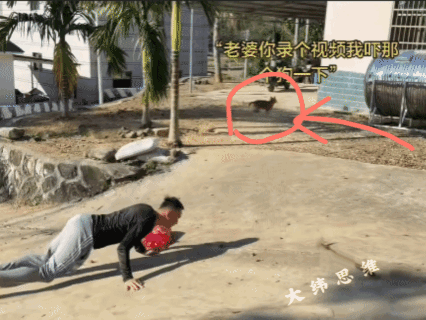 人和狗，
到底谁吓唬了谁？