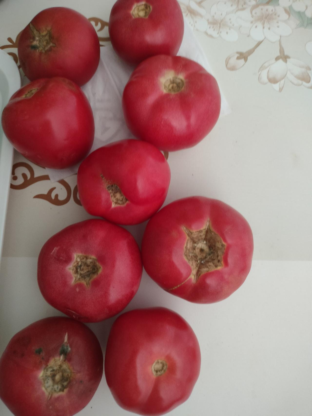 我和老公这次买的西红柿，起沙的，好吃，就是有点熟大了。
所以，我和老公这几天赶紧