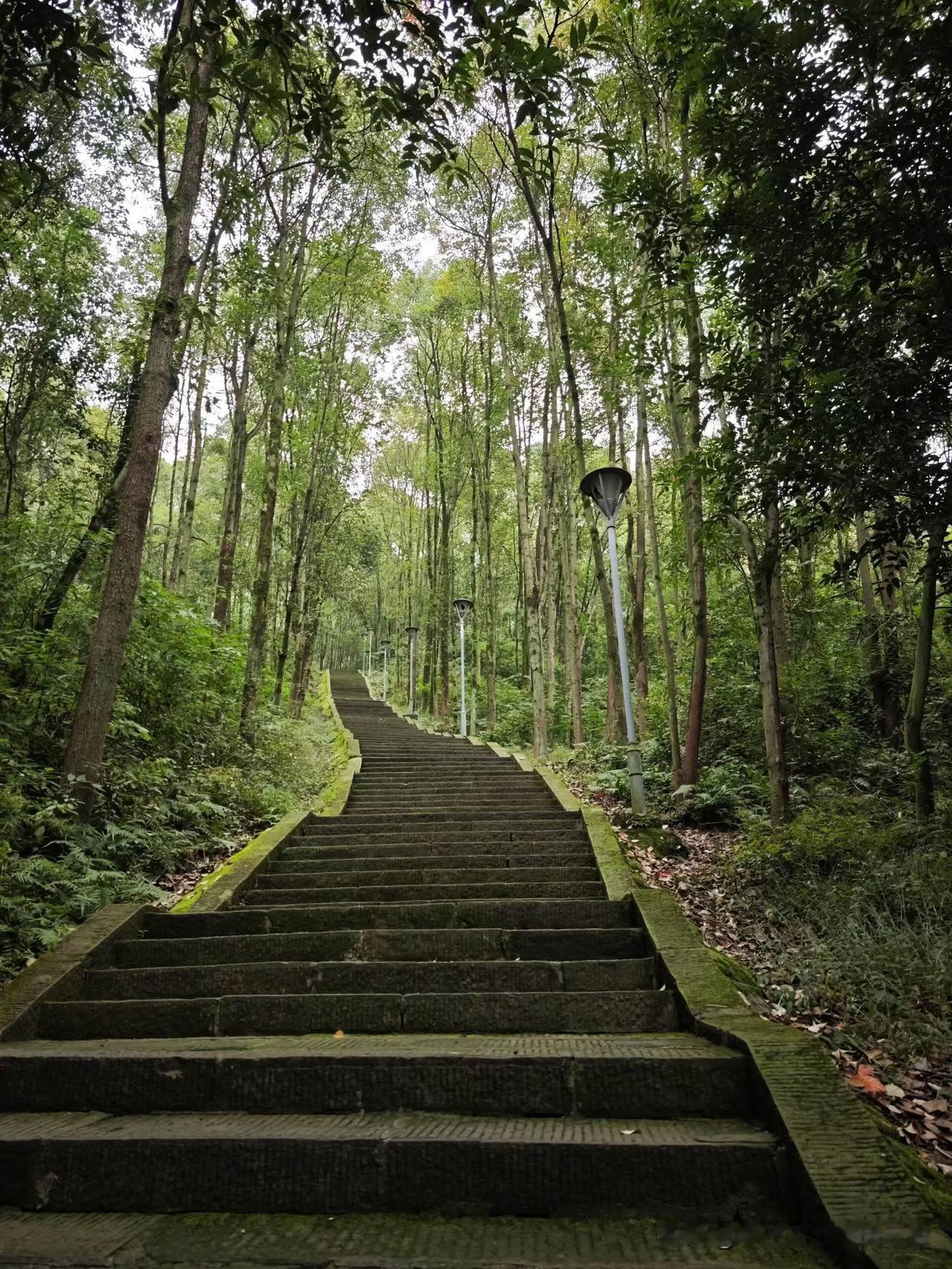 没有目标的日子真的很可怕
天气太热，这几天突然停下来，待在家里，足不出户，没事就
