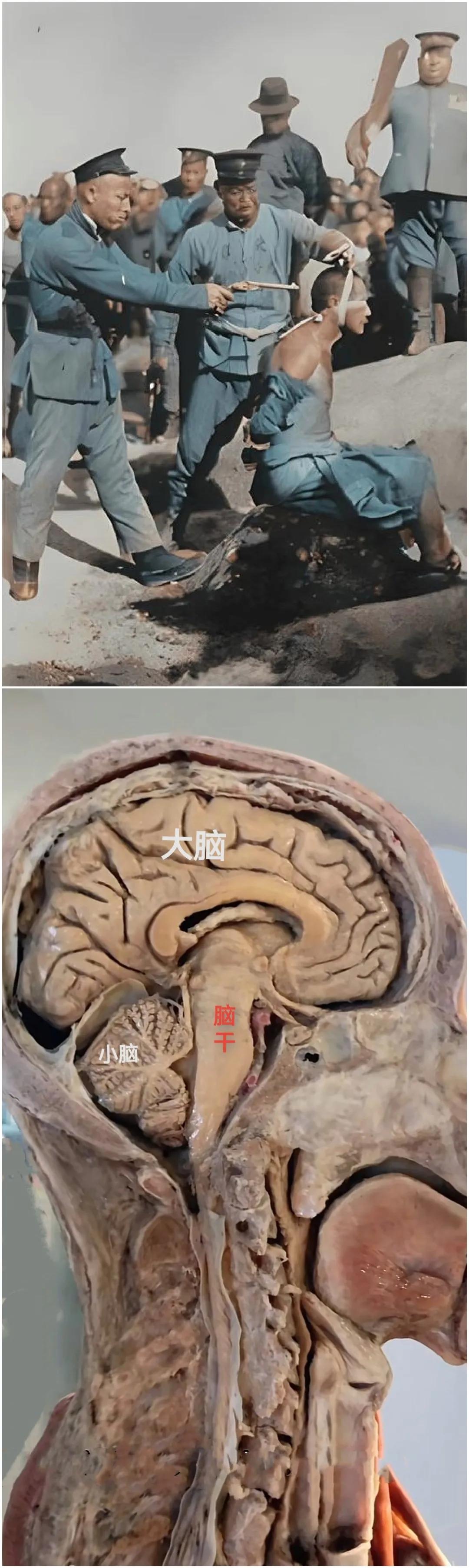 爆头！[发怒]
老照片，枪毙人现场！

这是民国期间，警察处决死刑犯照片，原先是