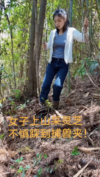 一名年轻女子上山采灵芝。
结果一不小心，竟然意外踩到了一个捕兽夹子！
好在女子脚
