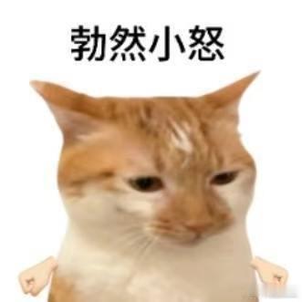 我一个变态都觉得变态 角色可以极端，但叙事不能暧昧。把伤害包装成浪漫，比变态更可