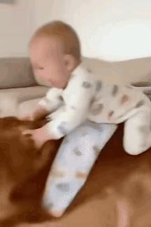 万万没有想到，这只狗会来这么一招[捂脸]当时它的背上的小主人正骑着非常的开心和快