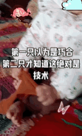 这是神童啊！一位全职在家带娃的宝妈日常照看两岁孩子，原本只觉得孩子日常吃喝玩耍都