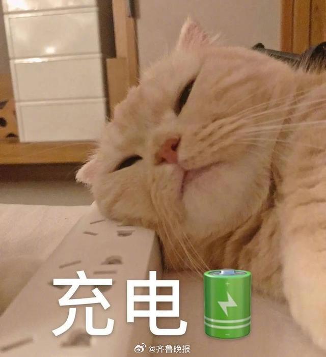 记住美好，忘掉烦恼，学会自愈。#晚安#