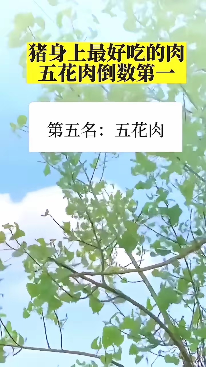 猪身上最好吃的肉。·第五名：五花肉。·第四名：前腿肉。·第三名：排骨肉。·第二名
