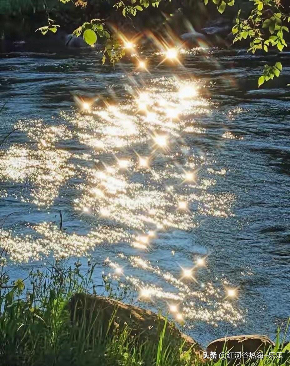 以前去养老院的时候，看到一个养老院床铺的墙上，有很多那种抓痕。
就很纳闷。
这是