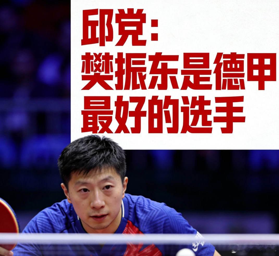 邱党：樊振东 是德甲最好的选手乒乓球体育  随着乒乓球德甲联赛第11轮赛事临近，