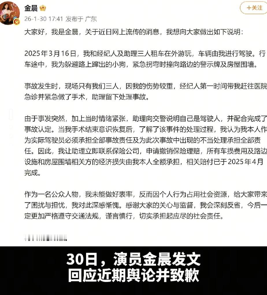 金晨肇事逃逸找人顶包事件大结局，事件主人公发布公开道歉。
金晨声明称自己并未主动