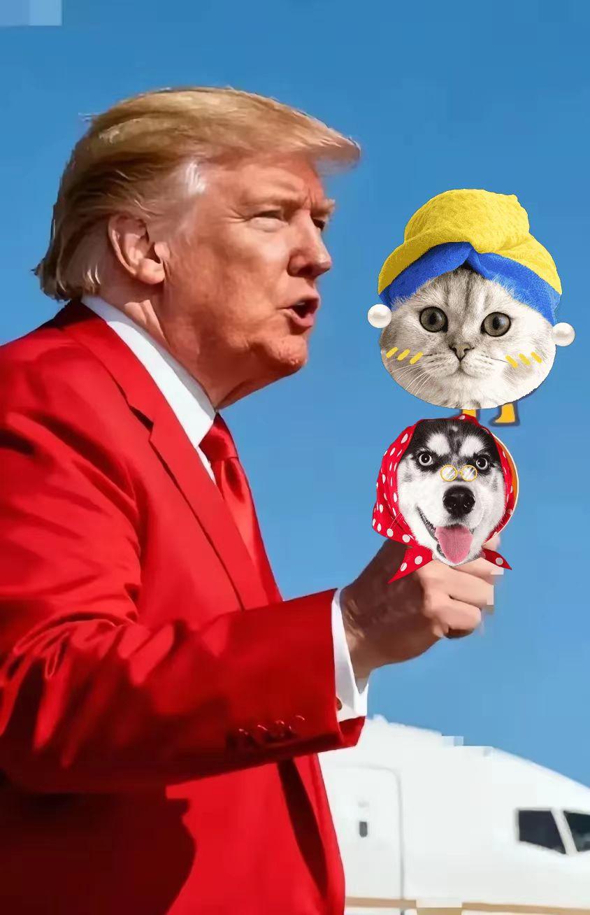 就在刚刚
美国法院正式宣布了
2025年11月6日，美国最高法院正式就总统特朗普