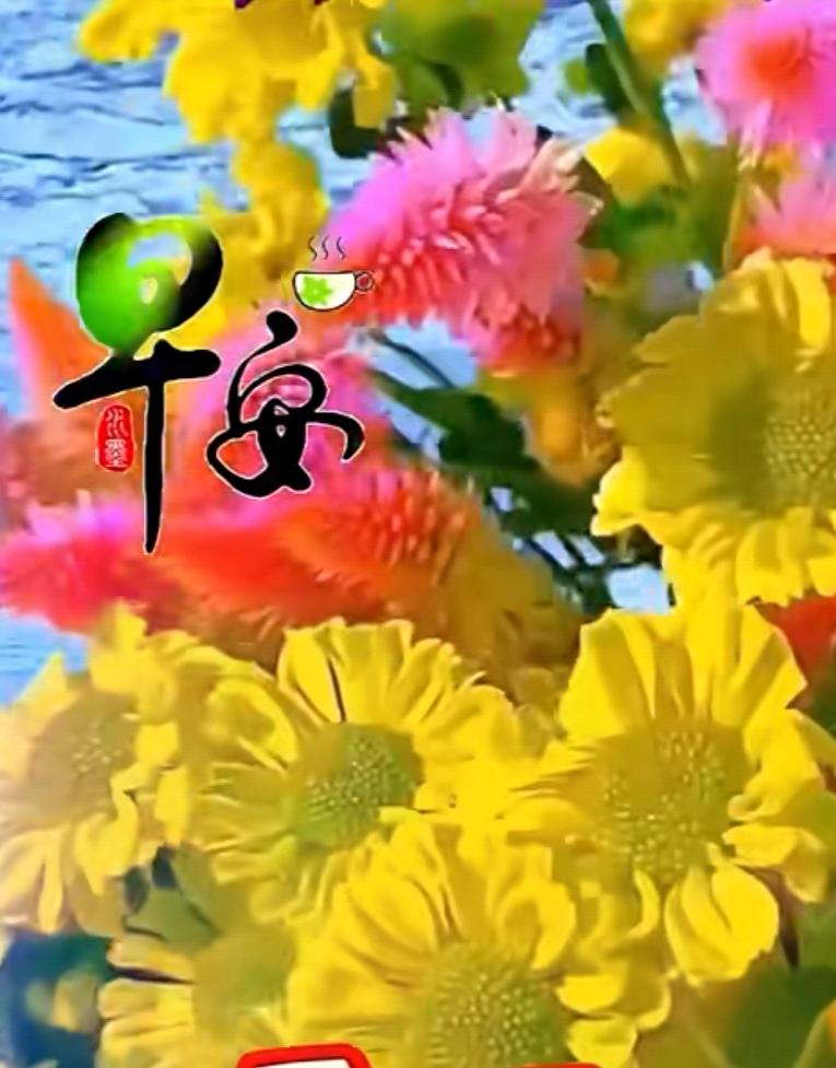 一片真誠裝心底，
清晨心裏總惦記，
送去祝福是心意，
冬天問候暖心裏，
願新的一