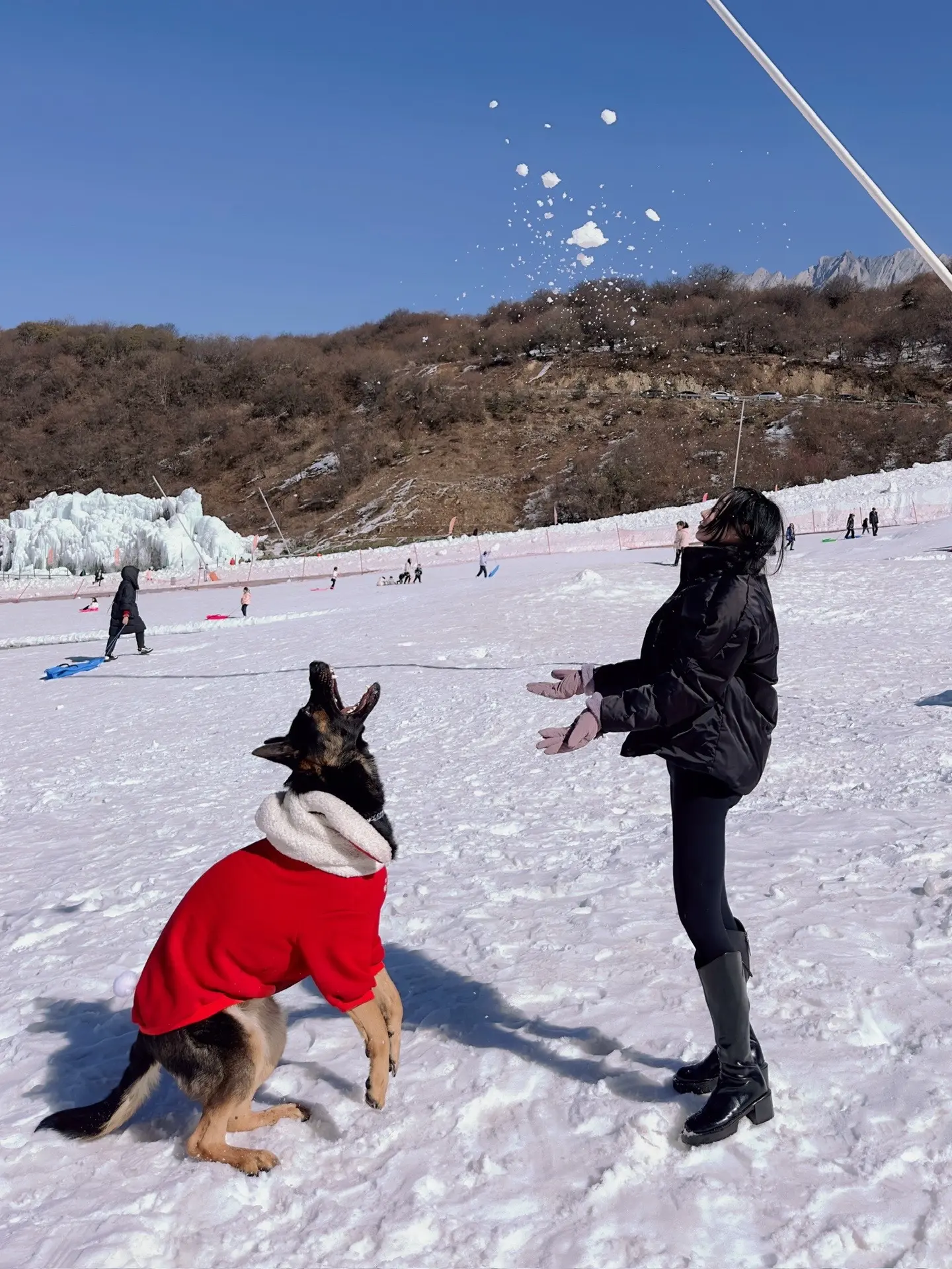 【德牧·巴克】快乐的不是下雪天，而是有你的每个冬天。