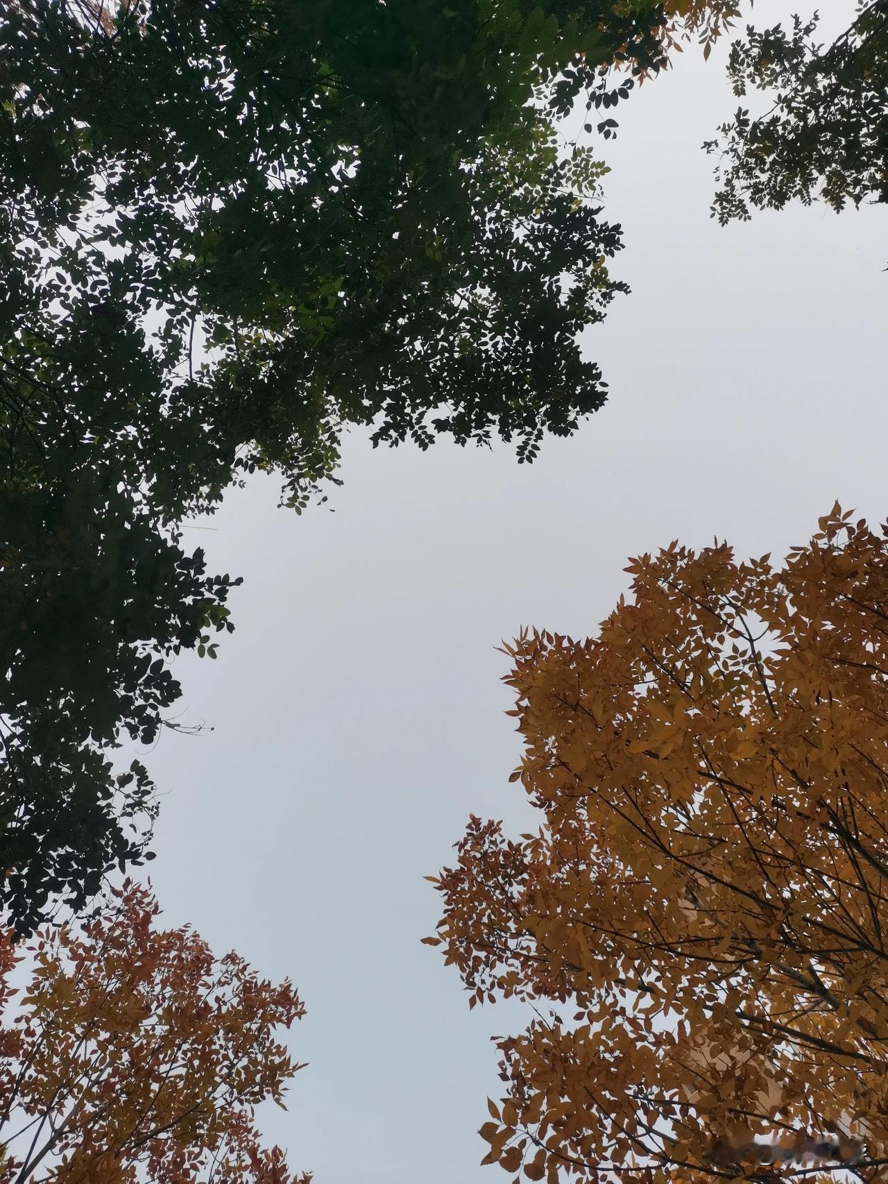 在我的老家，还是有祖坟的。
清明上坟的时候，哥们弟兄们一起祭祖，也是一个大家族团