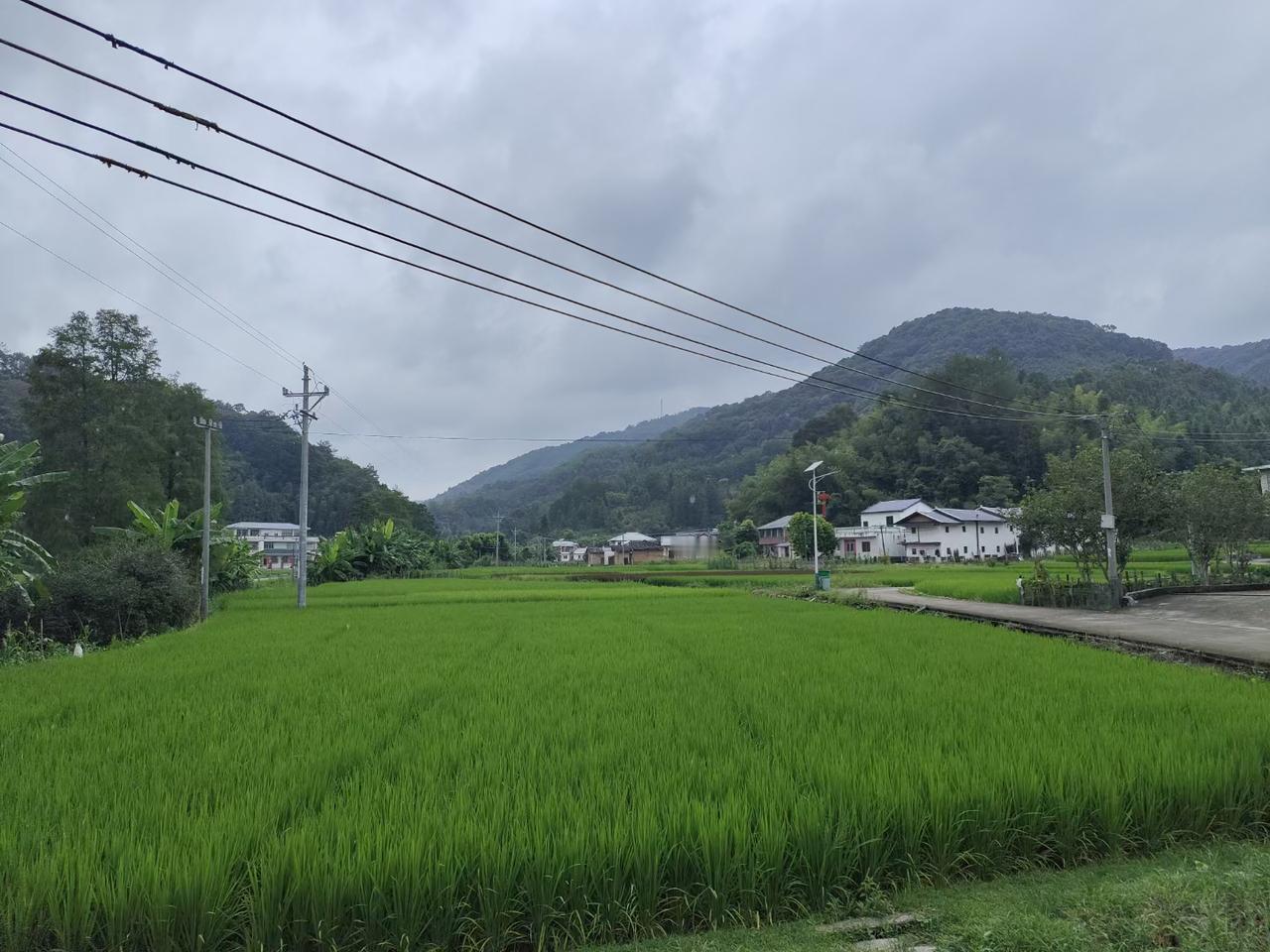 家乡的风景
绿水青山
就是金山银山
山清水秀
风景优吴
家乡真美
[爆竹][爆竹