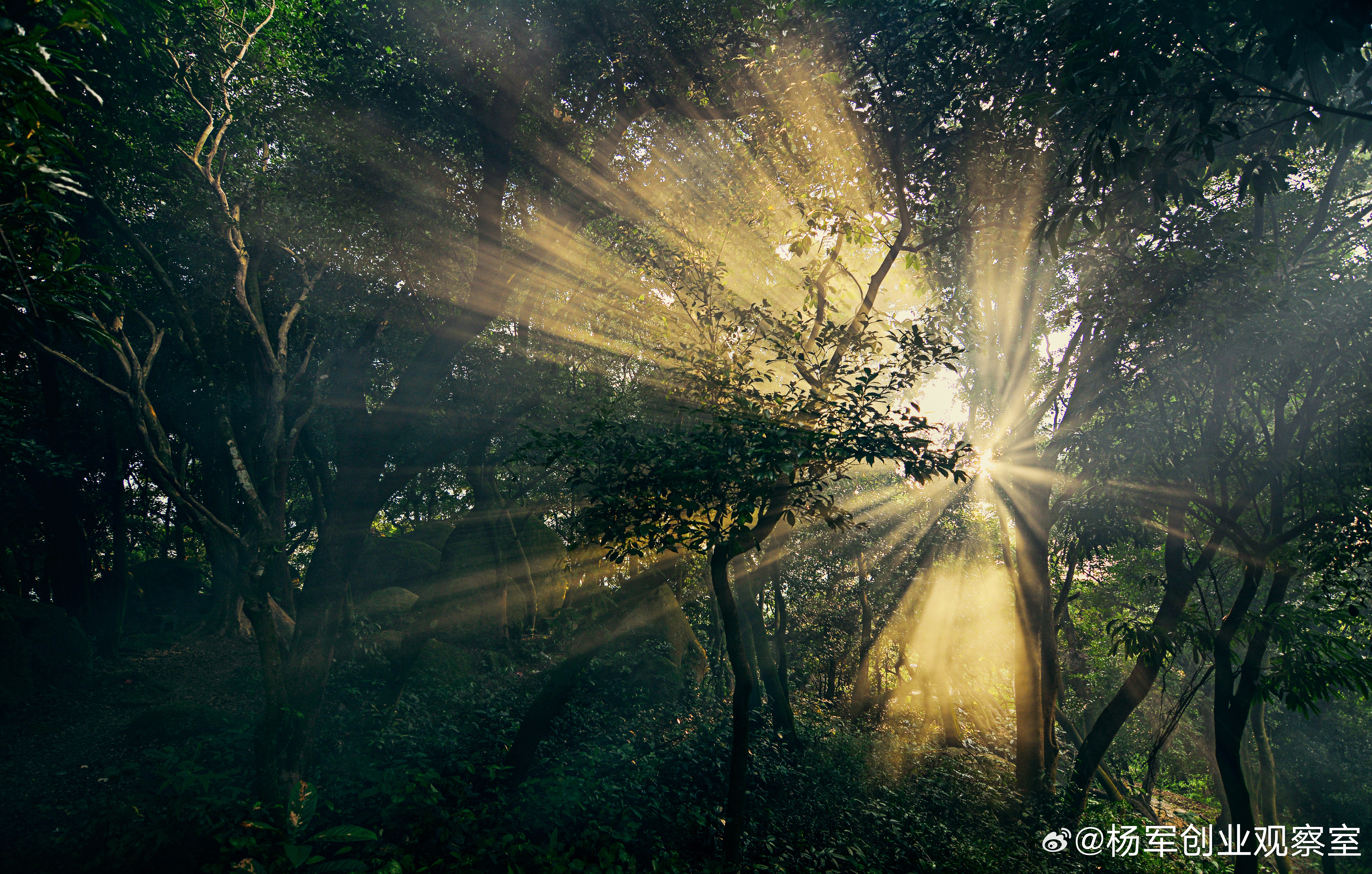 如果想写的主题太多，你就不知道如何做取舍定位混乱，就不能体现你的个人IP，书名与