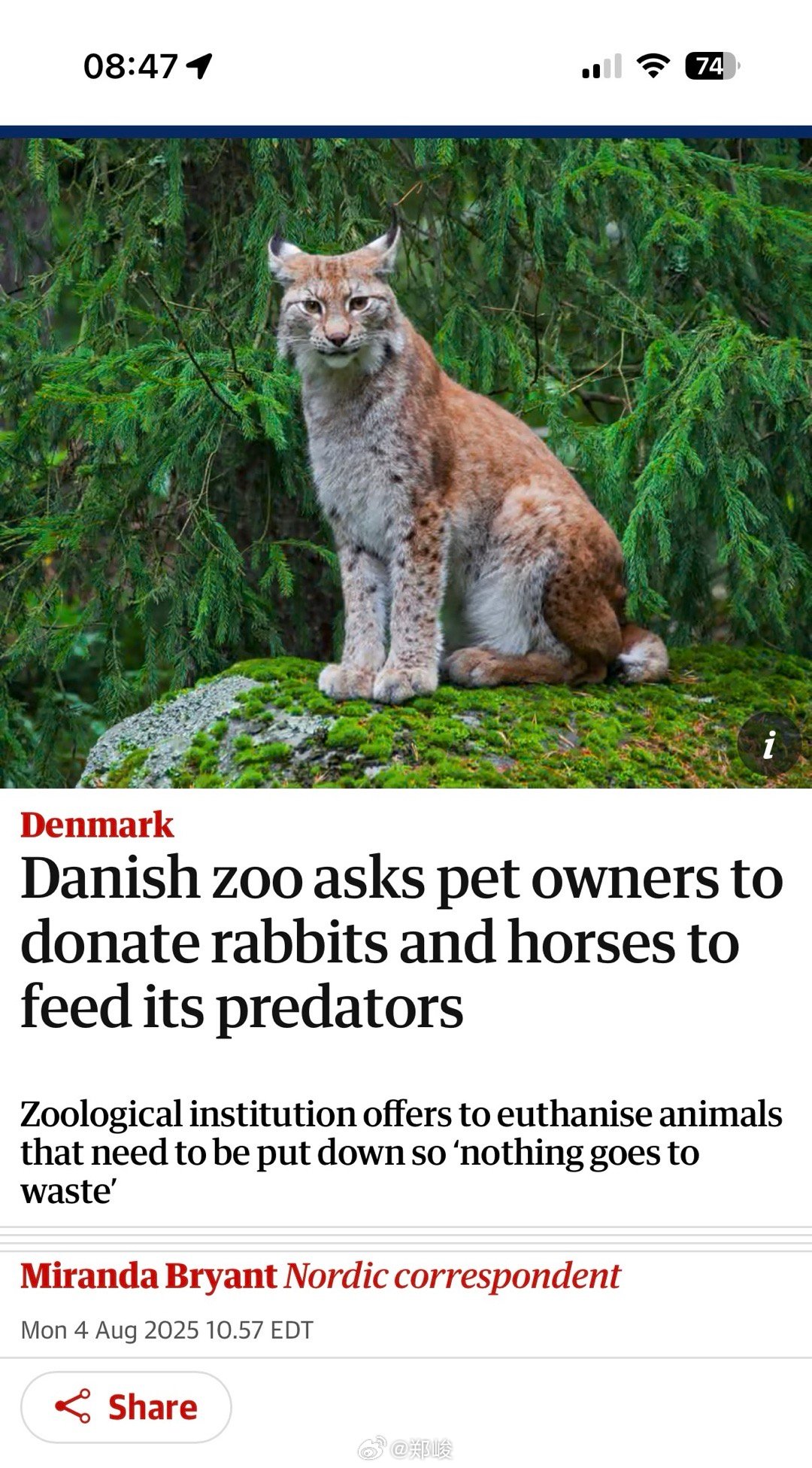 丹麦动物园呼吁居民捐献宠物喂猛兽丹麦奥尔堡动物园（Aalborg Zoo）敦促愿