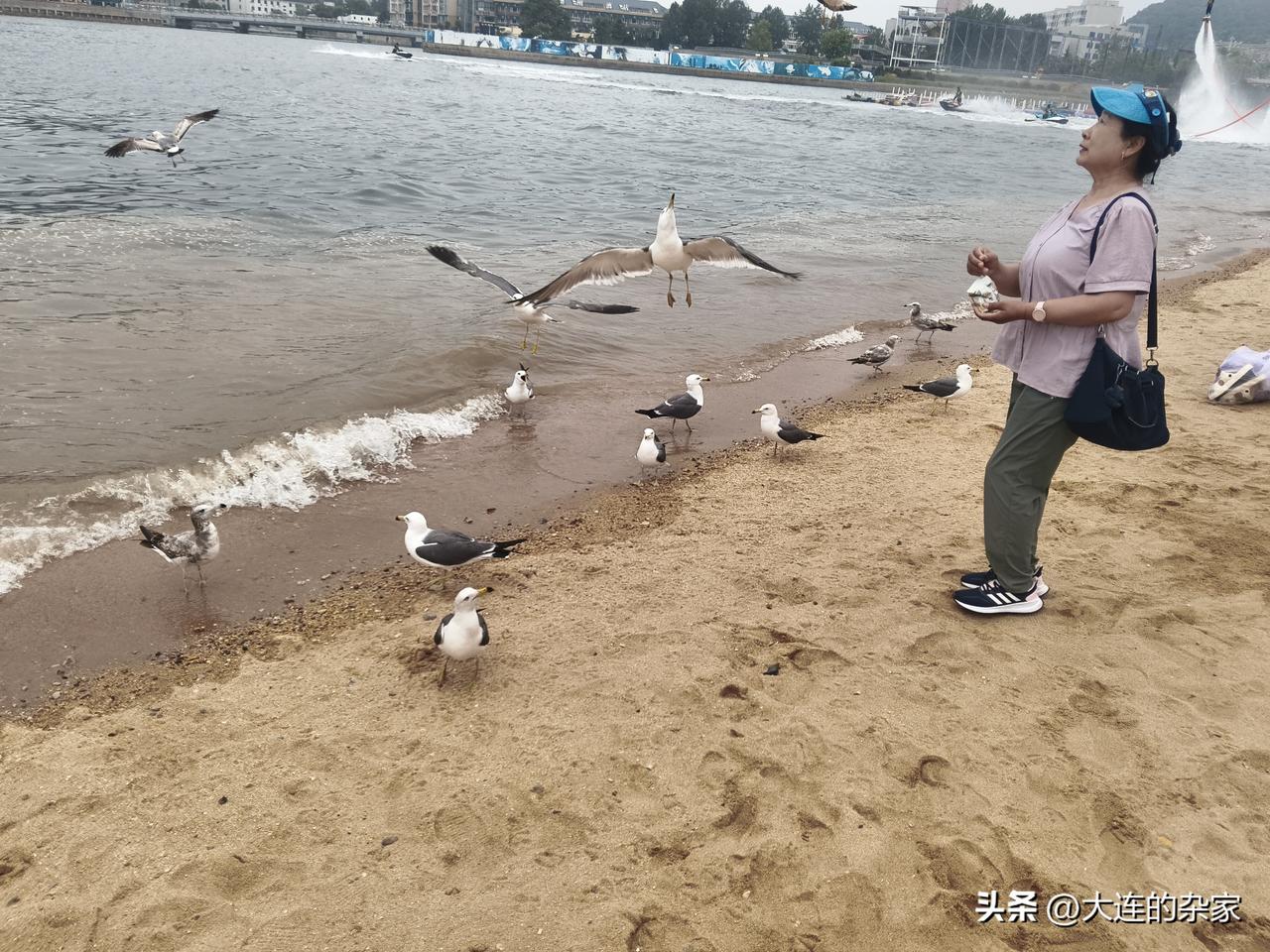 很多外地人来大连就喜欢喂海鸥。确实，对于很多内陆地区的人来说，看到成群的海鸥在天