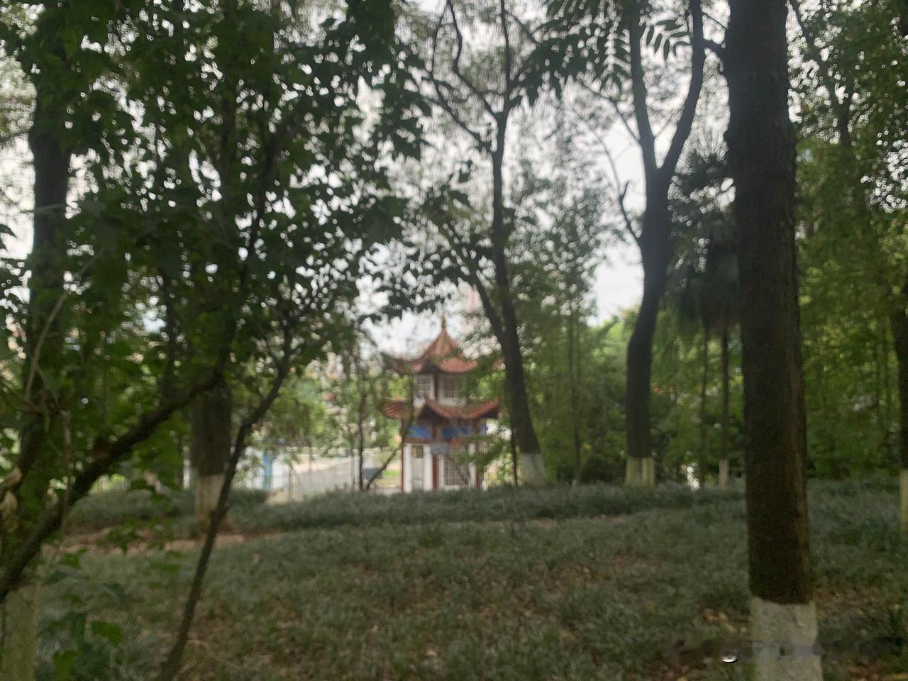 评价拼多多不能简单非黑即白，应当一分为二辩证看待。

它的优势十分突出，平台打通