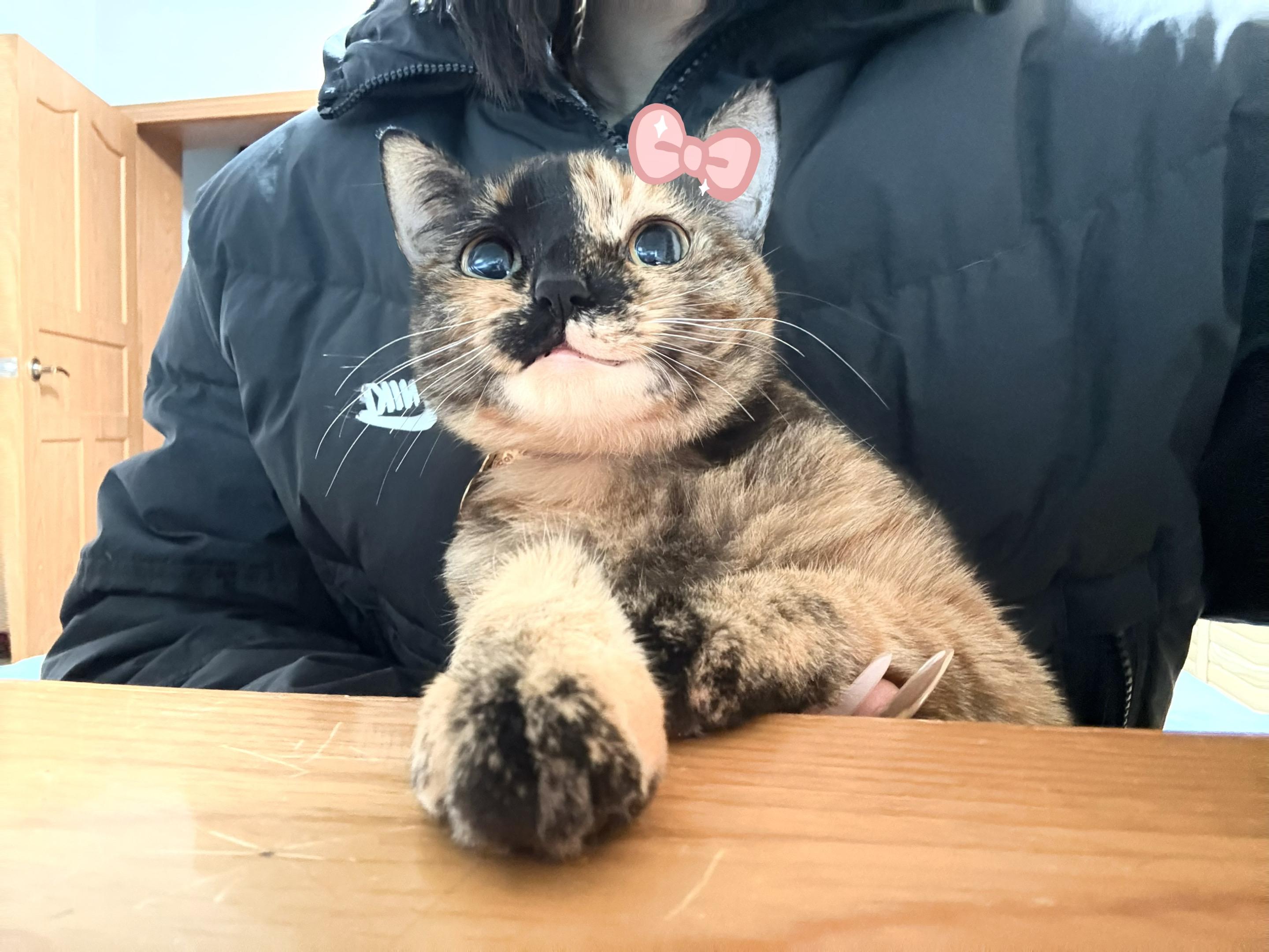 我等下发张自拍,然后吐槽自己最近变丑了,你们就在底下评论:没有啊还是很...