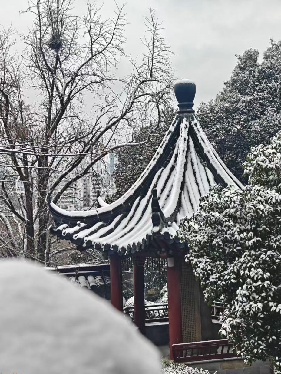 雪给飞檐织了匹素锦，朱红亭柱撑着古意，檐角翘向灰蒙的天，像要衔住一整个冬的静谧。