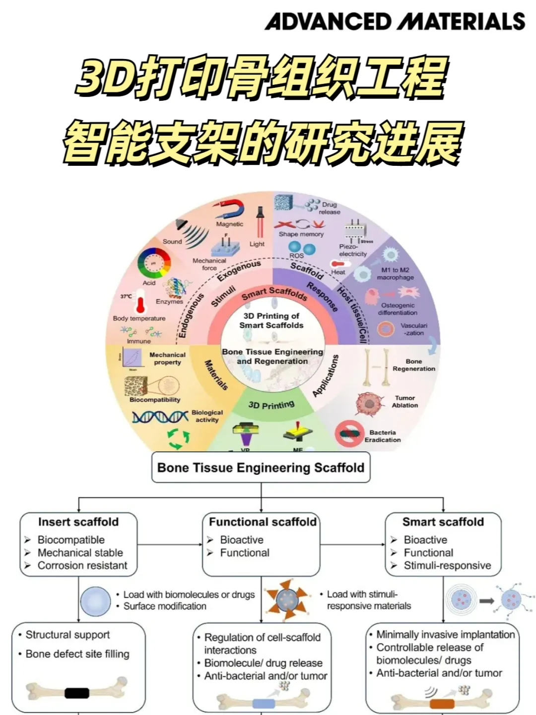 一文解读3D打印骨组织工程智能支架的进展！