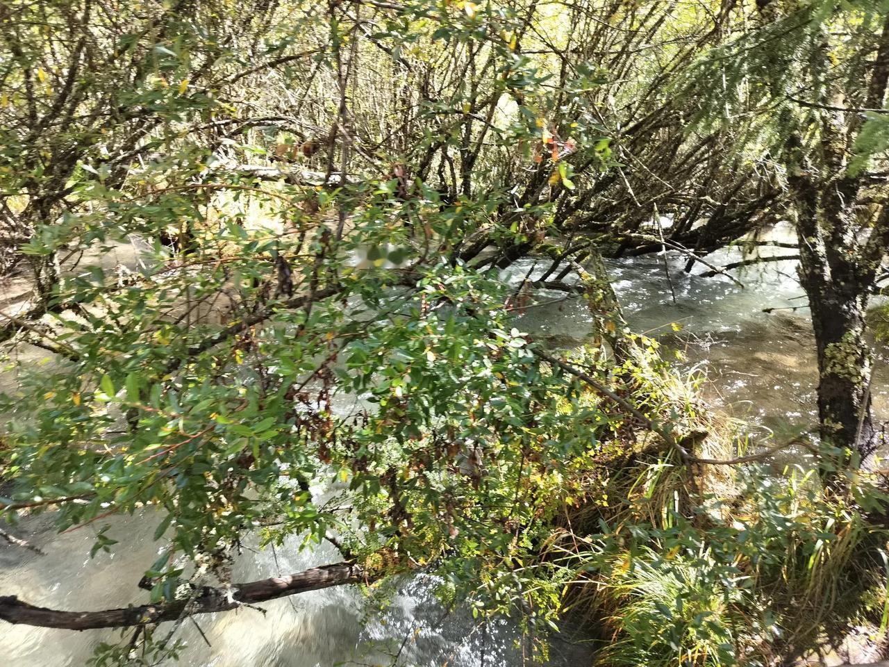 今年春天最想实现的心愿中双色球一等奖