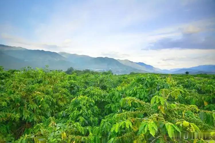 70后的我，银行卡余额停在四位数，镜中的白发却以三位数的速度疯长。早市的菠菜涨到