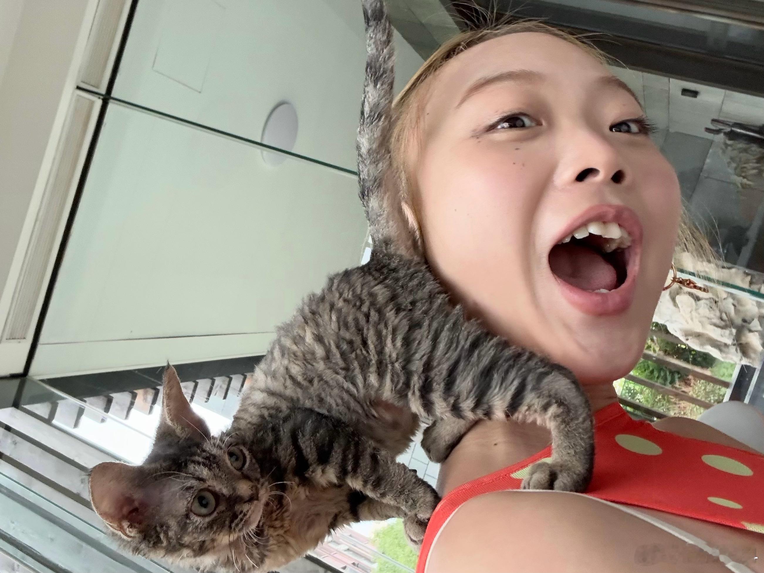 妹妹的小猫 ​​​