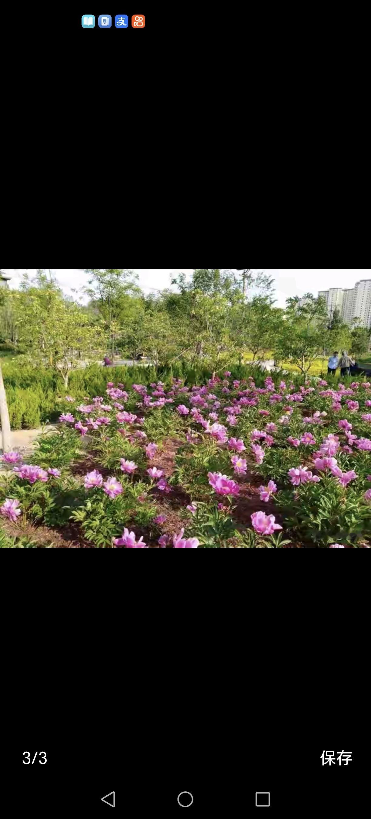 有人说，人这一辈子活的就是个心态。你绷着脸，日子也跟着皱眉头；你咧着嘴，连乌云都