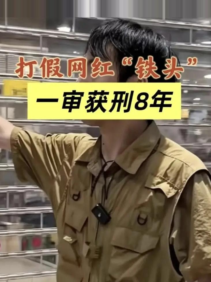 网红铁头一审获刑8年，宣判后当场辱骂法庭

9月11日，杭州市滨江区人民法院对董