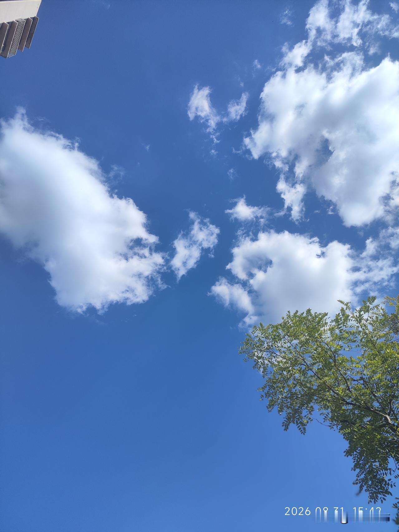 澄澈湛蓝的天空，大朵白云肆意舒展，蓬松柔软，像棉花絮般飘浮在天际。
蓝得干净透亮