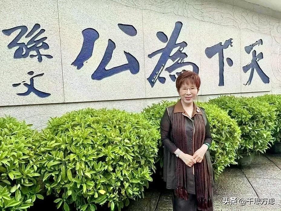 在日本宣布无条件投降日来临之际，中国国民党前主席洪秀柱发文呼吁，不忘历史，共谋统