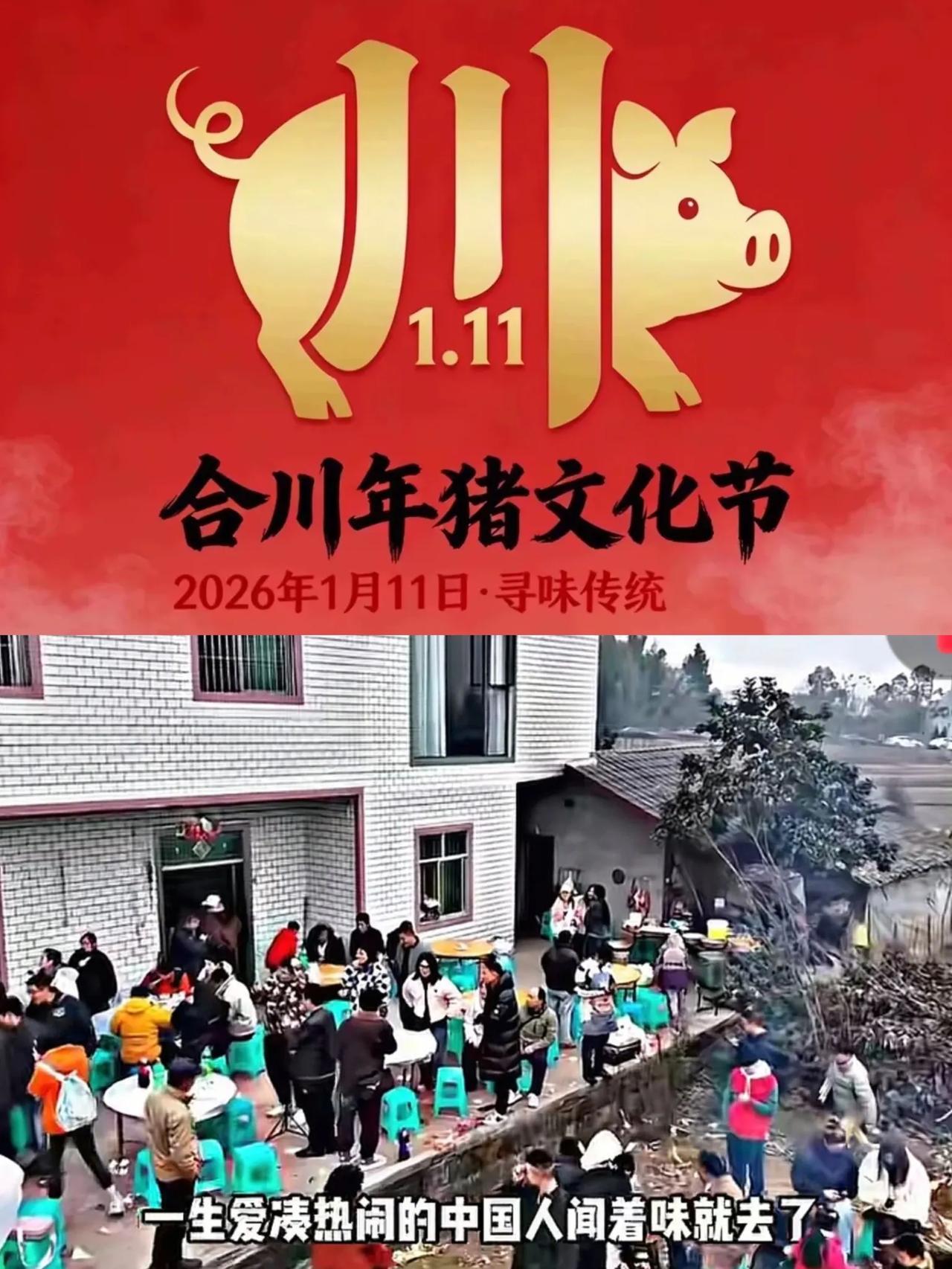 强烈建议→合川文旅局规定以后每年的1.11日定为合川杀猪节，你瞧，三个1合起来可