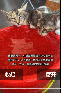 大猫不语只是一味的帮小猫喝水 ​​​
