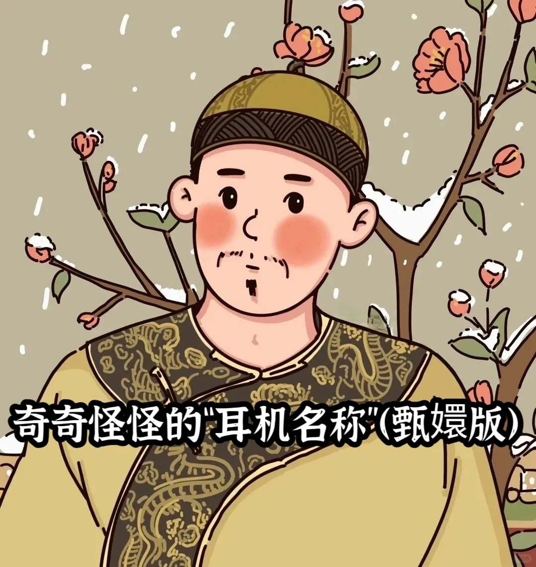 🎧奇奇怪怪的“耳机名称”（甄嬛版）