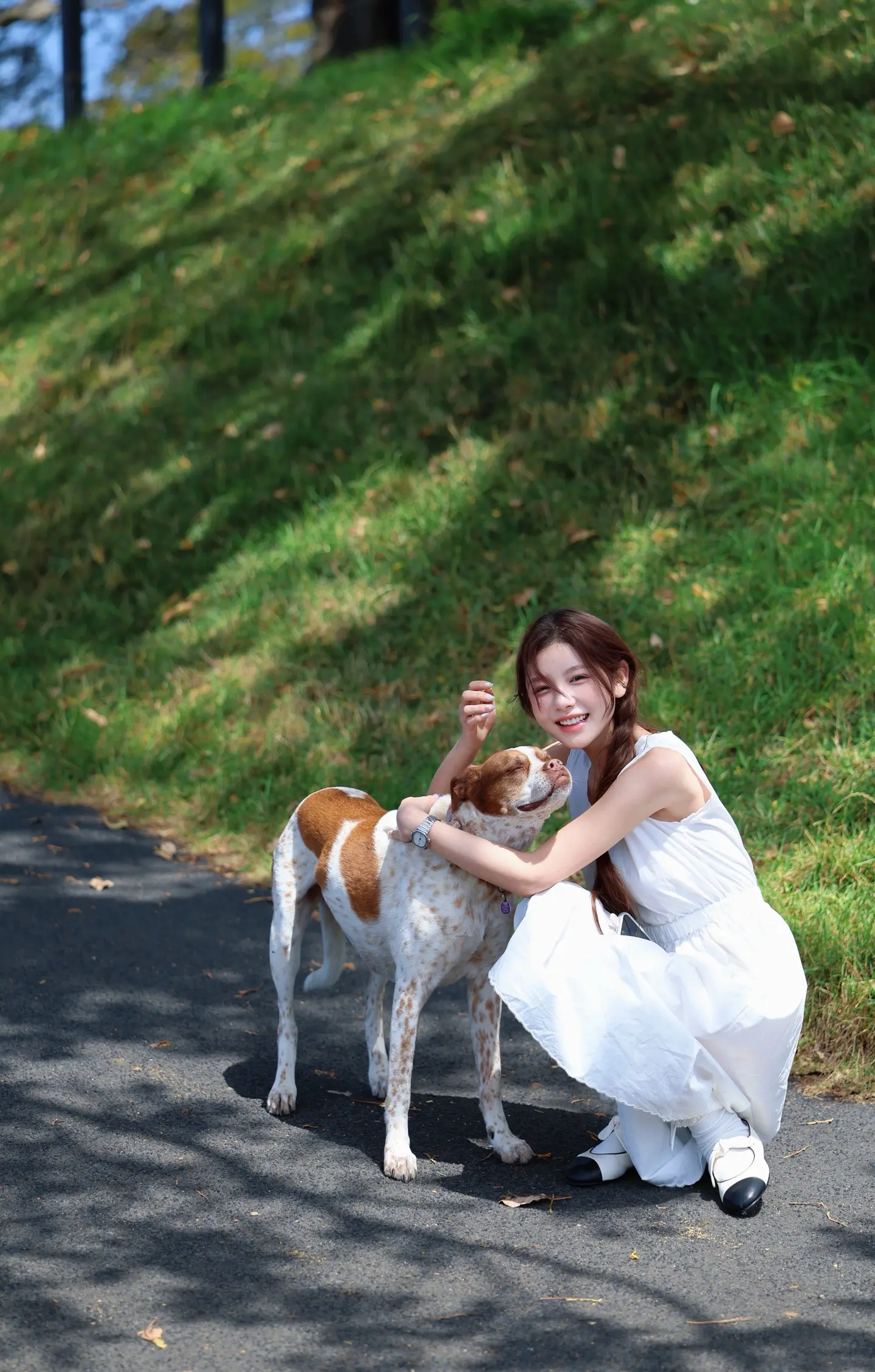 南半球的夏天～