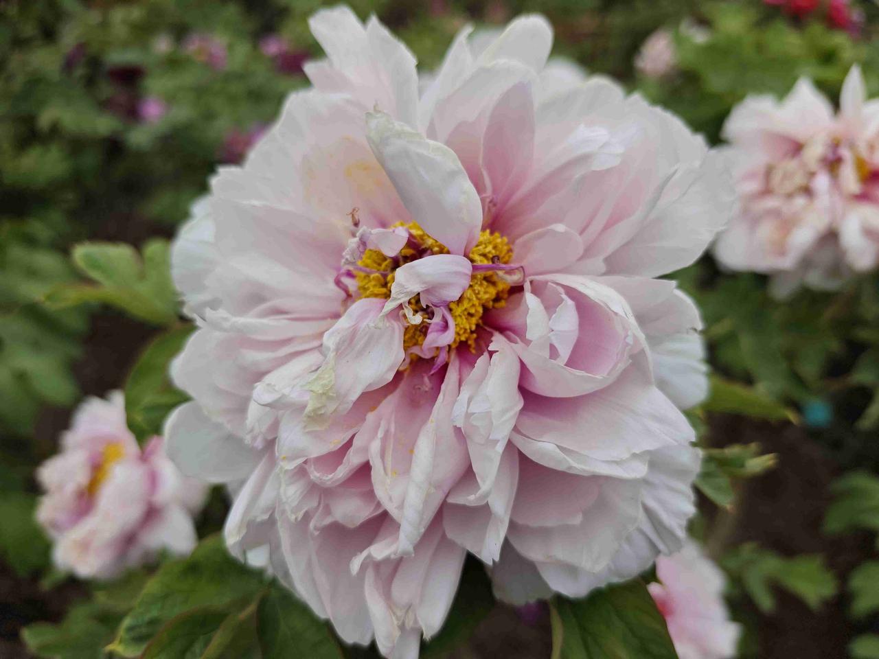 我的今日状态：😭伤心难过
我这里的天气：🌤️多云

今天打开手机看到一出人间