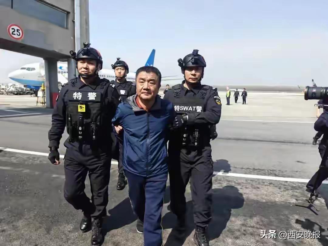 骗贷6.6亿潜逃3年嫌犯被押解回国法网恢恢，疏而不漏！骗贷6.6亿潜逃3年的嫌犯