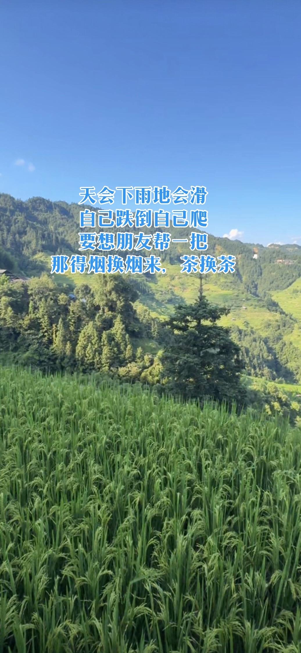 农村风景 随拍 精神状态belike 记录真实生活 治愈系自然风光