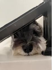 家有两娃＋条暴躁老头狗，出门像搬家，想换辆空间大，真正的6座车，朋友推荐c16，