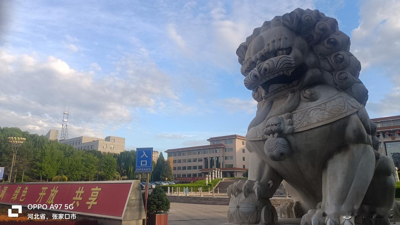 怀来县政府前的石狮子。