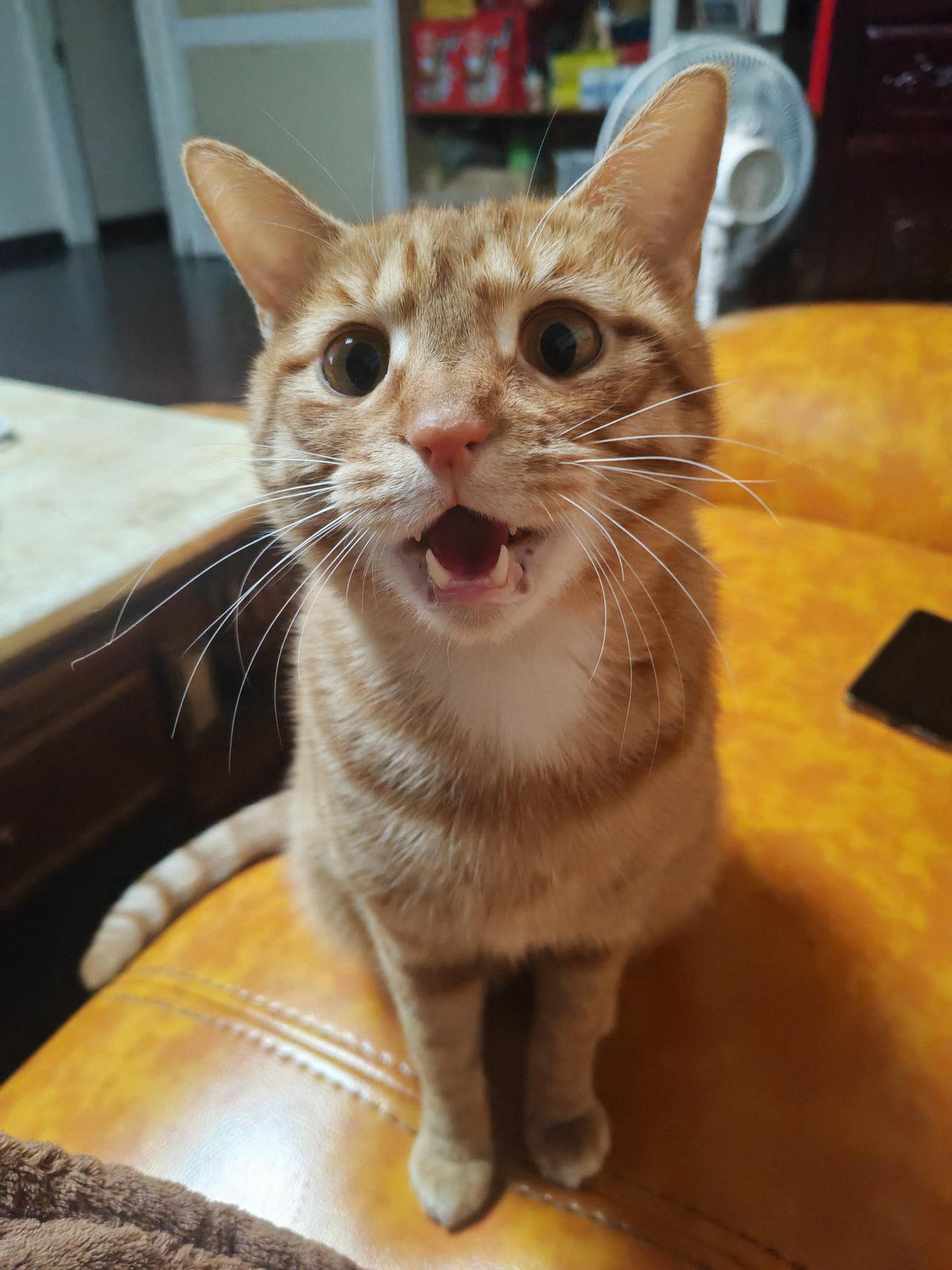 据说世上有九鬼：

1、烟鬼🚬
2、穷鬼[招财进宝]
3、赌鬼🎲
4、馋鬼[