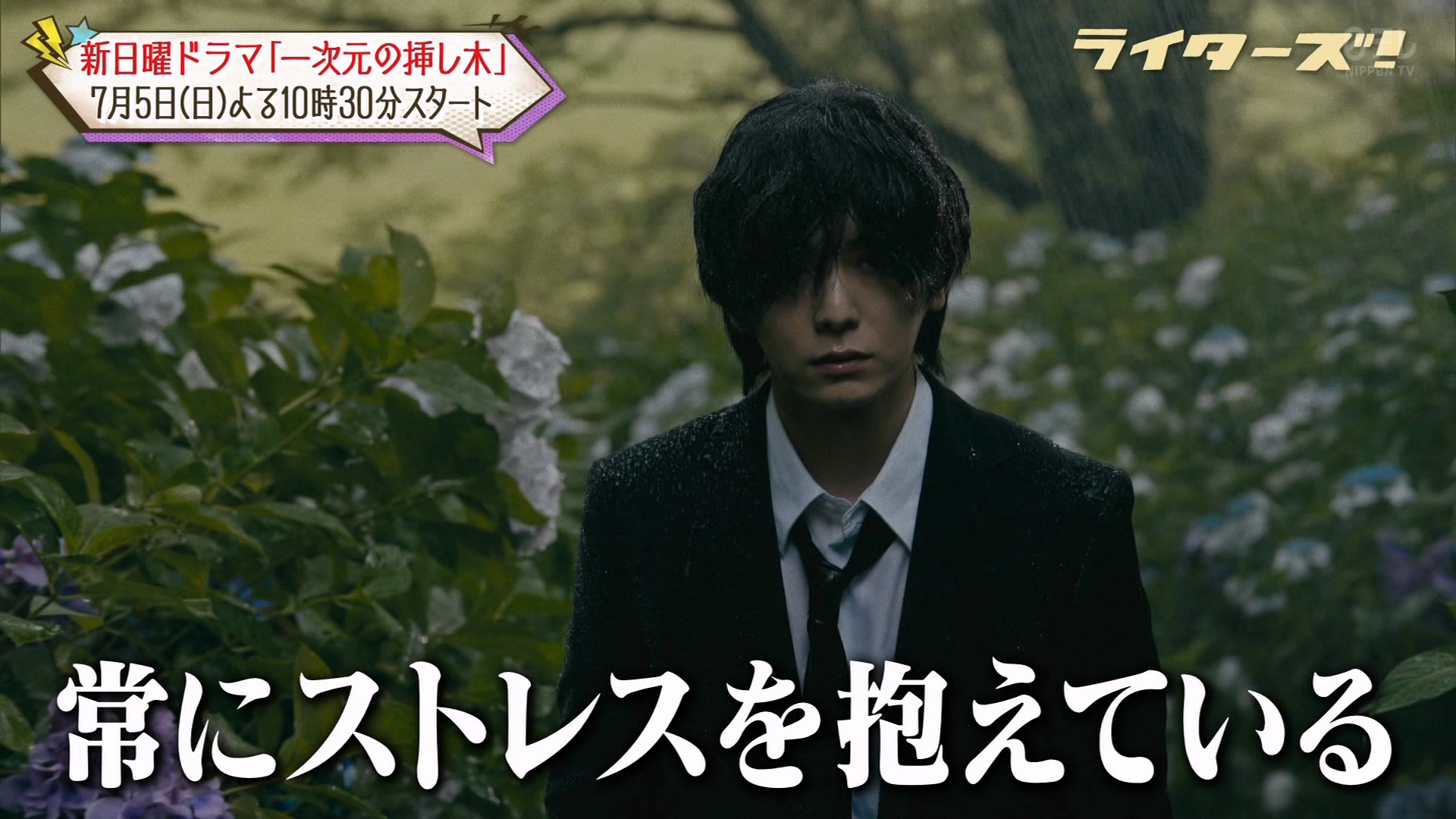 紫阳花和雨和男鬼 