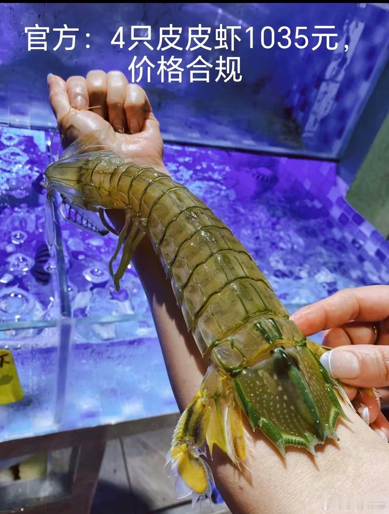 4只皮皮虾1035元，这谁看都会觉得贵。但调查结果显示这个虾是泰国濑尿虾（非普通